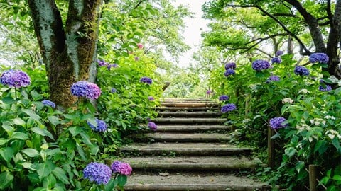 article featured image